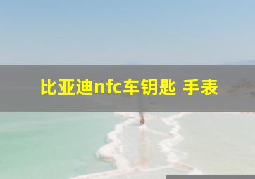 比亚迪nfc车钥匙 手表